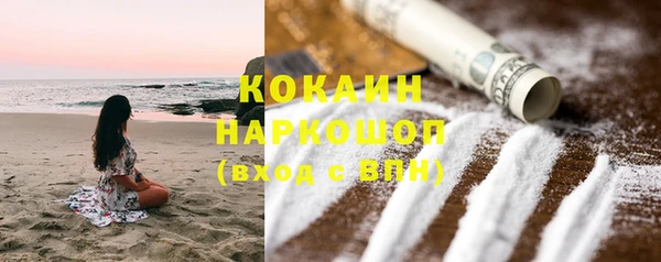 прущие грибы Богородицк