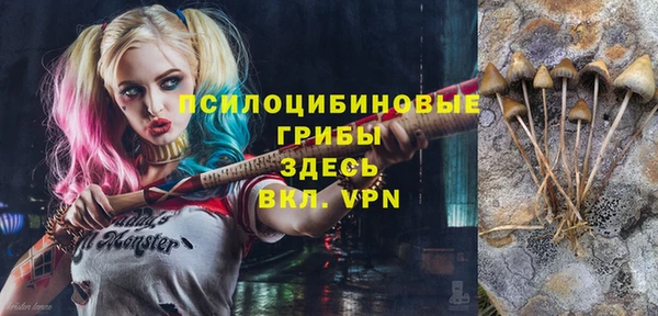 прущие грибы Богородицк