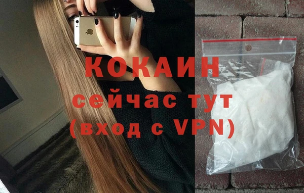 дурь Бородино