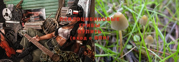 прущие грибы Богородицк