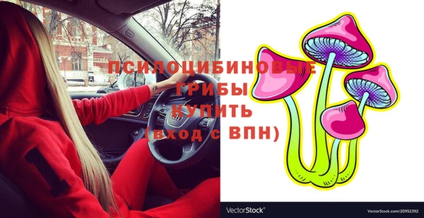 прущие грибы Богородицк