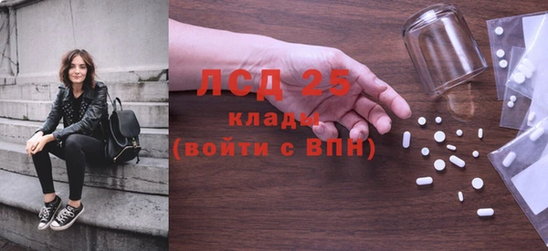 дурь Бородино