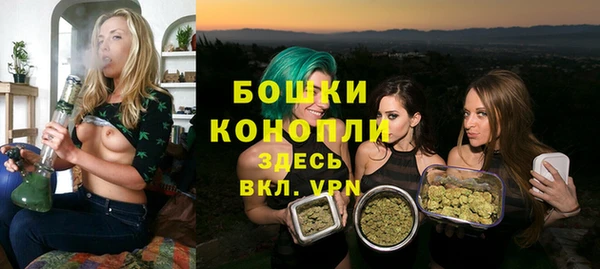 прущие грибы Богородицк